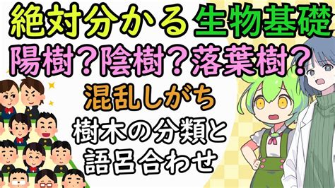 陽樹 陰樹|陰樹の特徴と陽樹の特徴 違いも解説 – 庭師の独り言